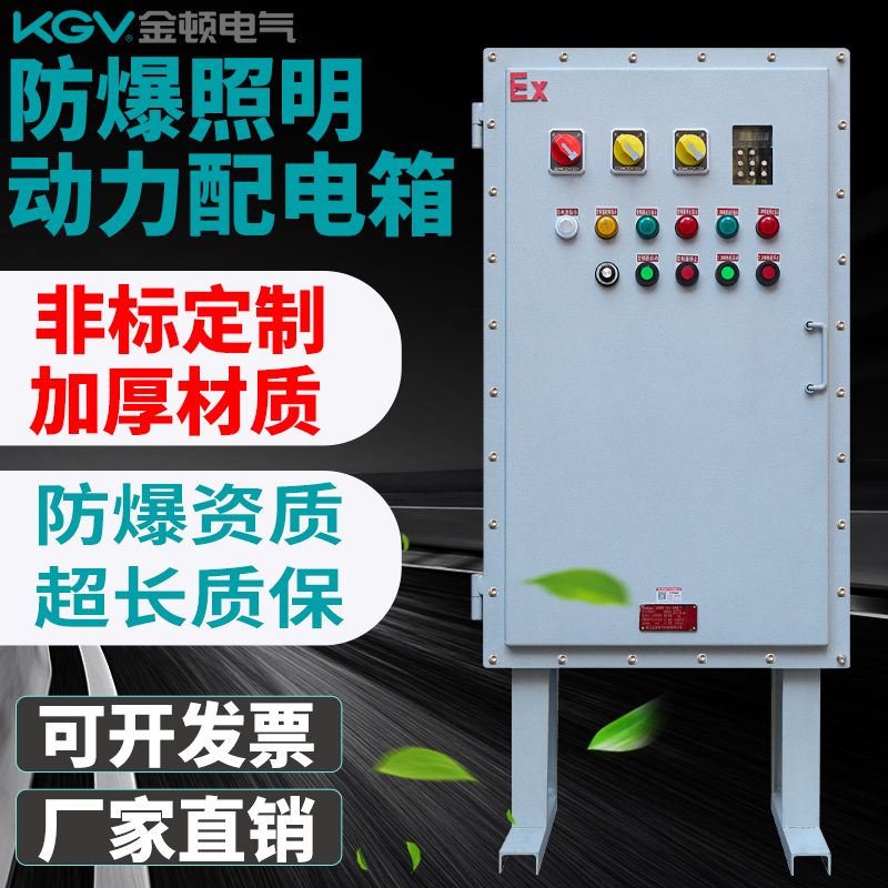 非標防爆變頻柜、防爆鋼板箱